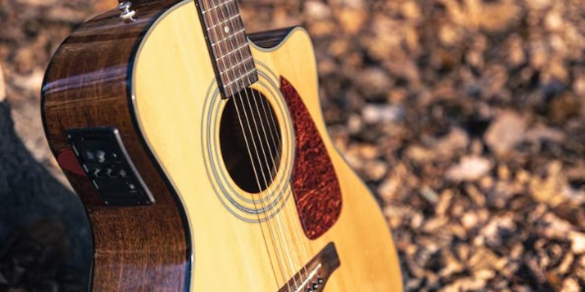 Exploring the World of 20 String Acoustic-Electric Harp Guitar and 6 String Acoustic Guitars