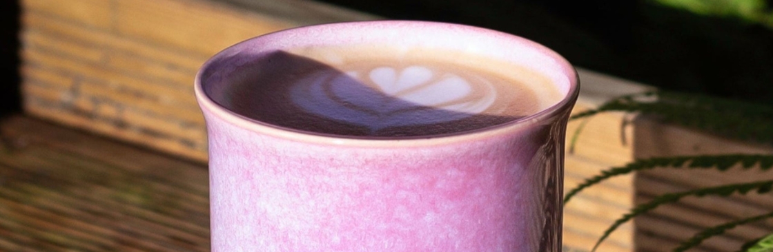 Nova Ceramics Cover Image