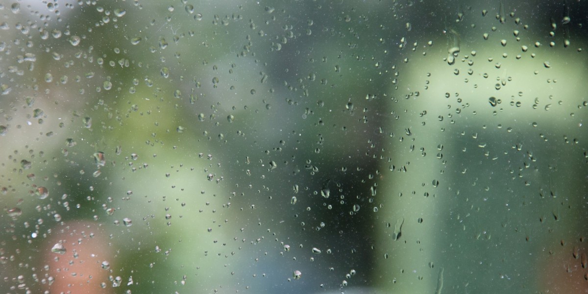 Sugar Daddy Sites in Winnipeg: A Comprehensive Overview