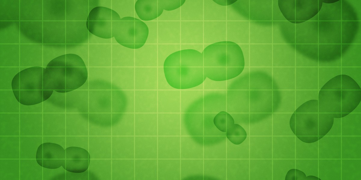 Exploring the Possibility of Purchasing Provigil Online: Current Advances and Considerations