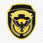 patchescustom Profile Picture