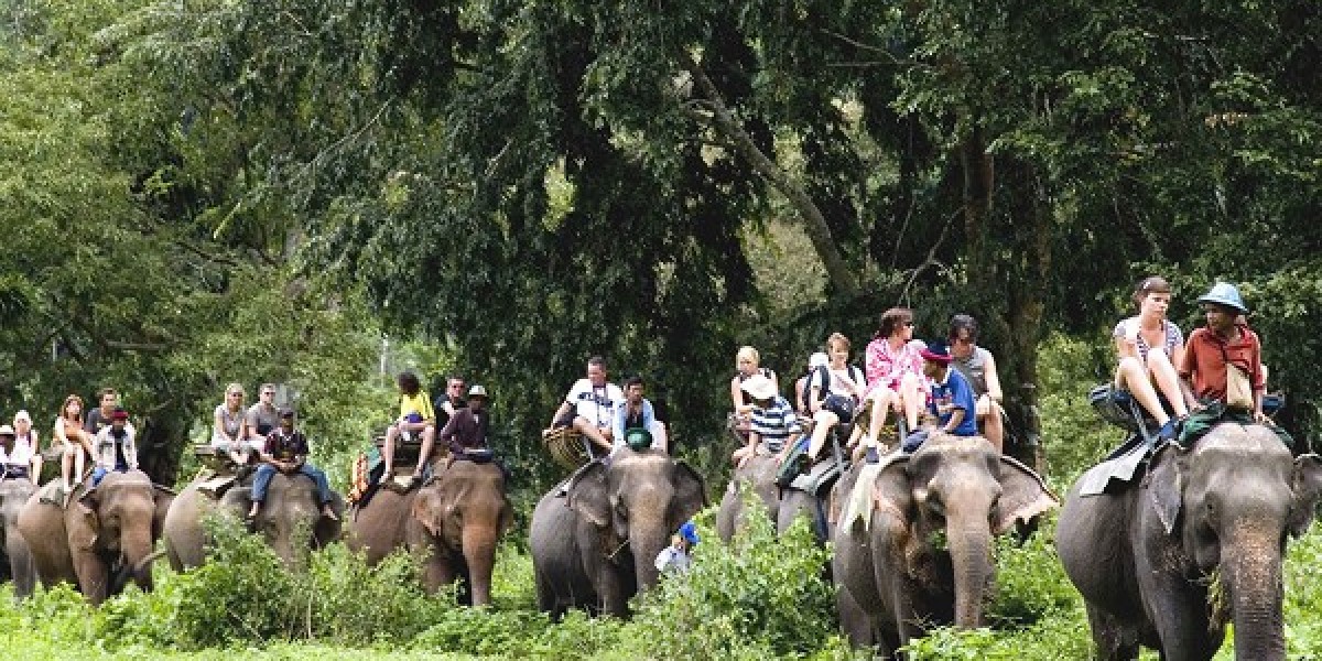 Royal Rajasthan Train Journey India: Experience Regal Travel Aboard Palace on Wheels