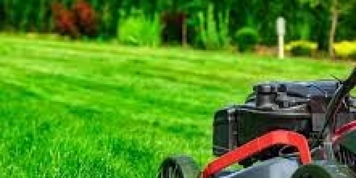 Discover the Best Deck Builder in Orono with Immaculate Landscaping