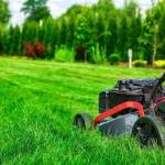 Immaculate Landscaping Profile Picture