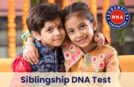 Get Sibling DNA Testing for Legal or Personal Use