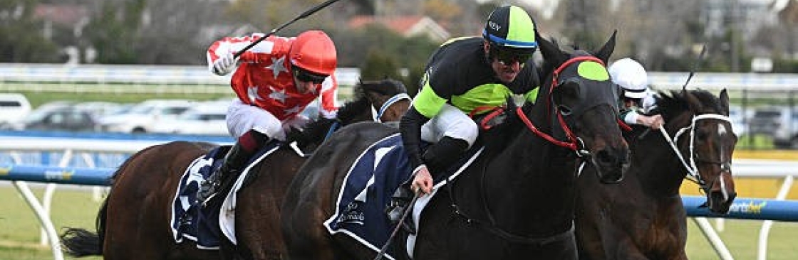 My Betting Mate Cover Image