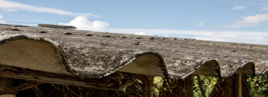 Ledbury Surveys Ltd Cover Image