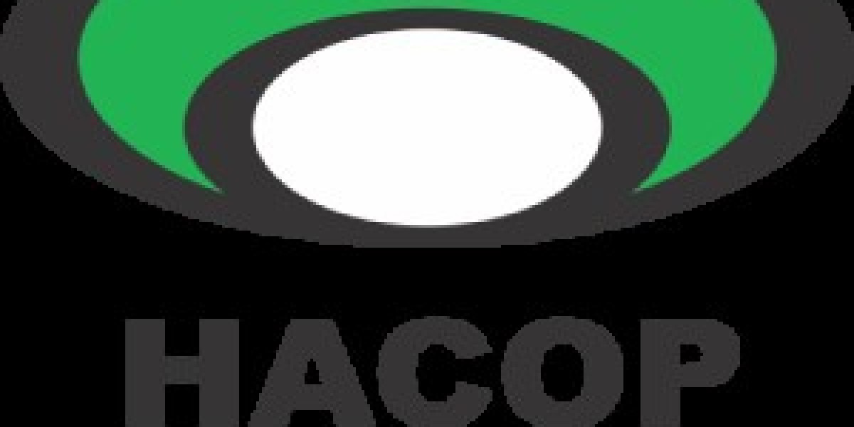 Inside the World of Industrial Flow: What Sets a Modern Drum Pump Manufacturer Apart