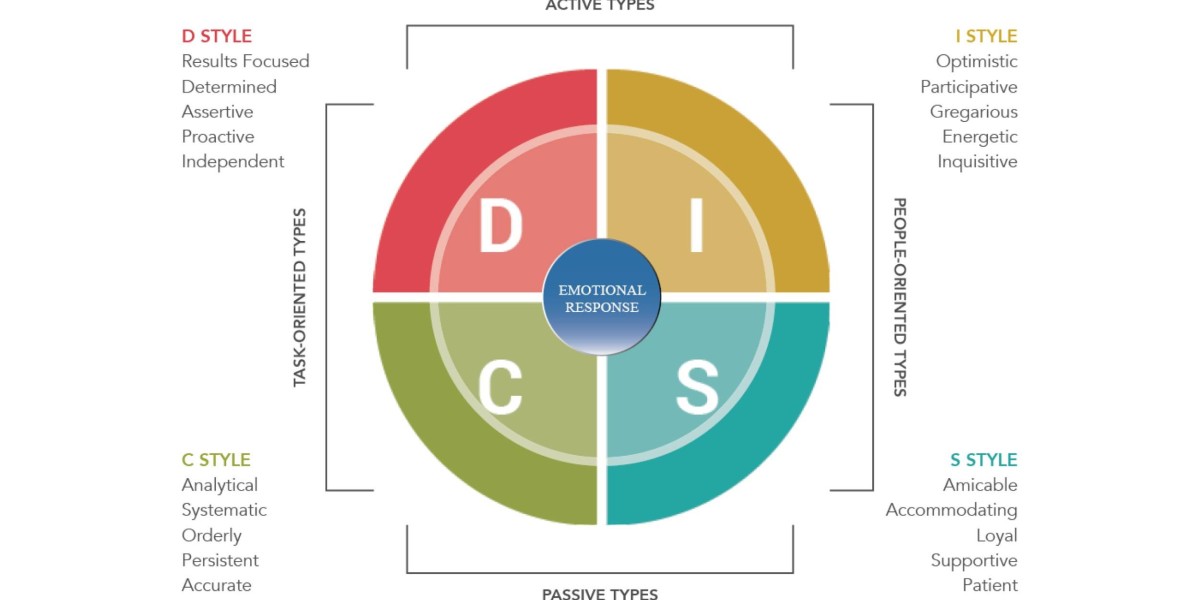 Unlocking Human Potential: The Power of the DISC Personality Test