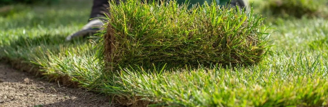 RP Landscape Cover Image