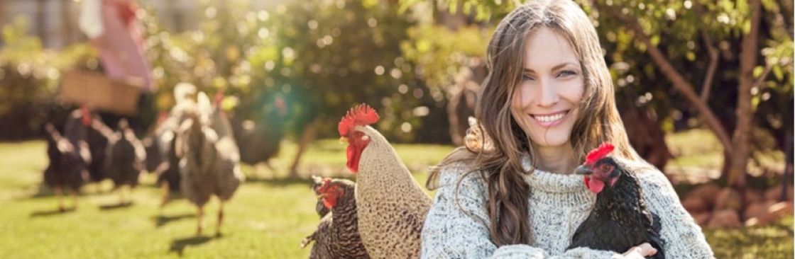 Coops and Hutches Direct Cover Image