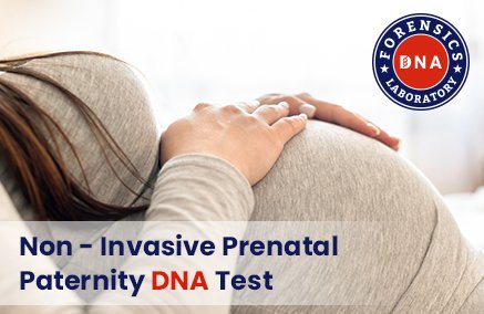 Get the Best Prenatal Paternity Test: Fast & Accurate Results