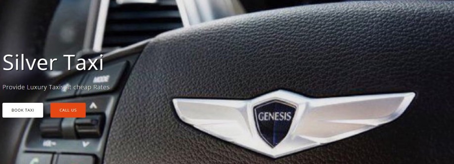 Silver Taxi Melbourne Cover Image